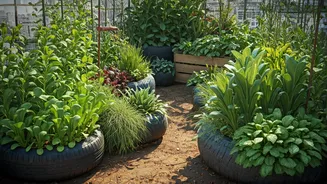 Terrace Transformation: Delhi Man Cultivates Lush Garden from Recycled Waste