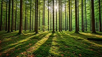 November Escapes: 6 Unmissable Indian Getaways