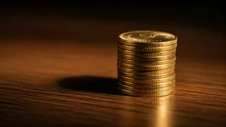 India's Market Dynamics: Key Factors and Investment Strategies