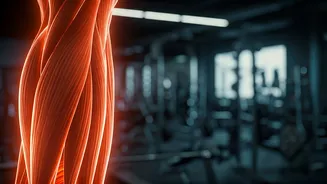 Stop Chasing Short Cuts: Build Real Functional Body Strength