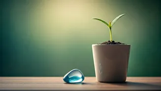 Unlock Your Best Day: 7 Morning Affirmations for Calm, Focus, and Growth