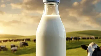 How Hotter Conditions Could Influence Milk Production And Dairy Prices