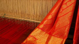 Saree Style: Decoding Celeb Looks for Makar Sankranti