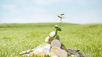 How Keeping Expenses Below One Percent Maximises Long-Term Compounding Profits For Beginners
