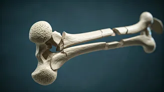 5 Workouts That Might Harm Your Joints: Stay Safe!