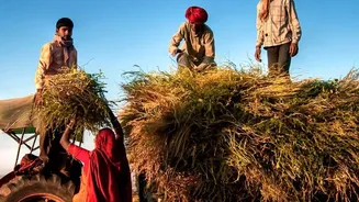 An MPKV-BARC Climate-Resilience Programme: What It Means for Farmers and Food Readers