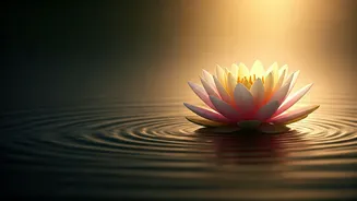 Unlock Your Potential: Mastering Consciousness and Meditation in a Hyper-Stimulated World