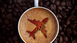 New Study Looks At Coffee's Gut-Brain Connection And Finds Different Effects By Type