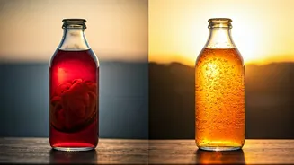 The Immunity Battle: Kombucha Vs Kanji In Monsoon Season