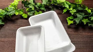 How Biodegradable Sugarcane Bagasse Packaging Replaces Plastics In Food Delivery Networks