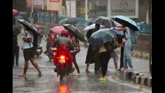 Chennai Rains: IMD Issues Yellow, Orange Alerts For Several Districts; Heavy Rain Forecast Till October 26