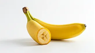 Banana Bonanza: Your Guide to Optimal Consumption