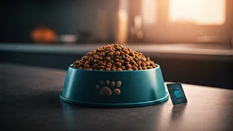 Personalized Pet Food Is The 2026 Care Upgrade