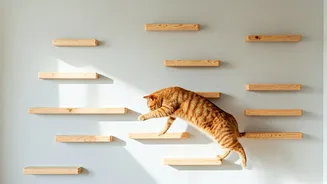 Build Floating Wooden Plank Climbing Walls For Indoor Active Cats