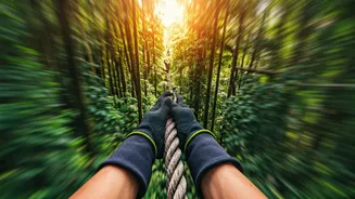 Soar Through Kenya's Canopies: An Unforgettable Treetop Adventure Guide