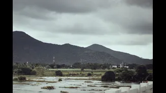 Understanding Reservoir Water Levels in Southern India and Their Impact