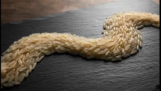 Basmati’s Long Grains Suit Both Layered Biryani and Quick One-Pot Meals