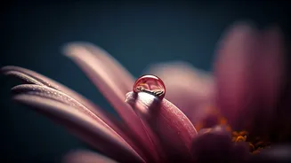 Divine Names: Baby Names Meaning 'Gift from God'