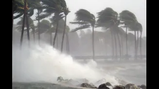 Related Stories banner