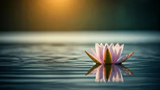 Master Your Mind: Gautama Buddha's Timeless Wisdom on Inner Peace