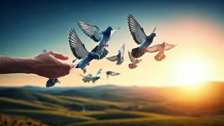 Unlock Inner Peace: Letting Go of Control, Embracing Love by Jack Kornfield