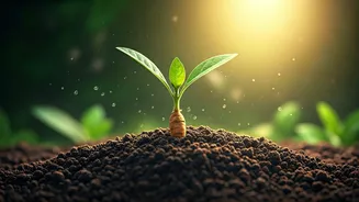 Unlock Your Well-being: 5 Powerful Health Perks of Ashwagandha Root