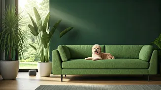Indian Pet Parents Want Green Homes With Sense