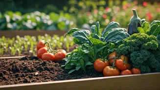 Why Minimal Time Commitment Delivers Maximum Organic Vegetable Yields Fast