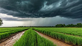 Dramatic Rain Advancements Witnessed In Maharashtra Odisha IMD Reports Today