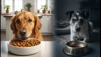 The Cheapest Pet Food Is Not Always The Lowest Long-Term Cost