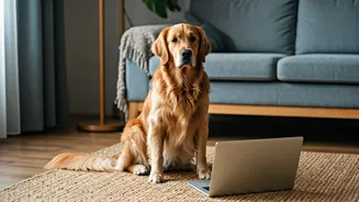 Why Mindful Pet Parenting Programs See Peak Growth Online Now