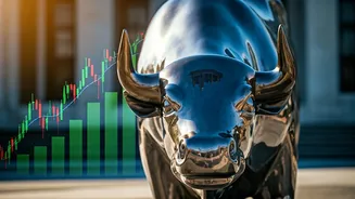 Indian Stocks Surge on Global Optimism & Fed Rate Cut Hopes