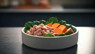 Indian Stores Are Stocking Smarter Pet Meals Now