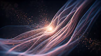 February 10, 2026 Love Horoscope: Navigating Romance & Relationships for All Zodiac Signs