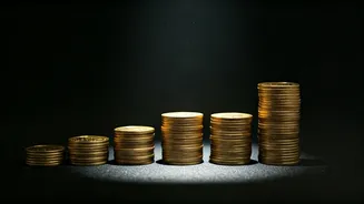 Dhurandhar's Box Office Performance: A Look at Day 50 & Beyond