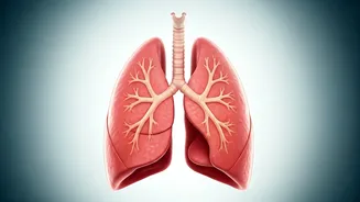 Daily Habits for Lung Health: A Doctor's Insights