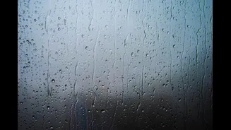 How to Eliminate Damp Smells from Your Home During Monsoon
