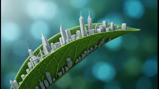 What Healthy Living In Urban India could change about workplace wellness and urban planning priorities