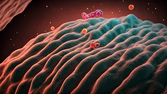 Related Stories banner