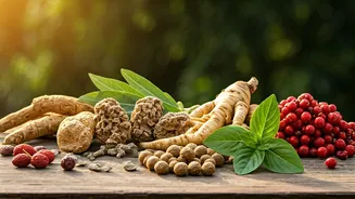 Unlock Your Inner Resilience: Exploring the Power of 5 Natural Adaptogens for Stress Relief & Energy