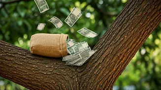 Monkey Drops Cash in Prayagraj: It Went Viral