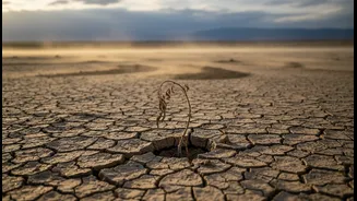 Goa's Weak Monsoon Spell: How to Separate Useful Context from Hype