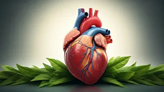 Heart Health: Your Guide to Wellness