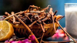 Herbal Stress Management Hacks: Ashwagandha vs Brahmi Comparison For Young Corporate Professionals
