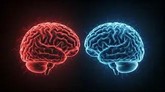 Unlocking Seizure Control: The Hidden Power of Sleep and Stress Management