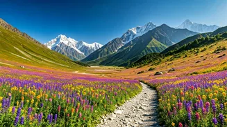 Valley Of Flowers Needs Timing And Permit Sense