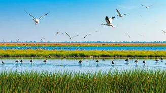 Nalsarovar Wetlands Day: Community Action & Conservation