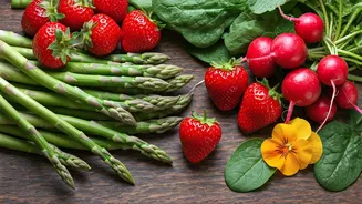 Embrace Spring's Bounty: 30 Delicious Recipes for April 2026