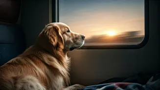 Traveling with Your Furry Friend on Vande Bharat Sleeper: A Comprehensive Guide