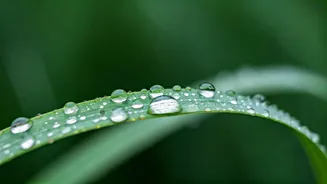 Shine Control Tips For Rainy Days